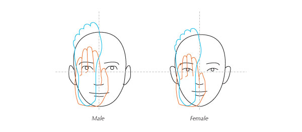 Human Anatomy Fundamentals: Advanced Facial Features | Envato Tuts+