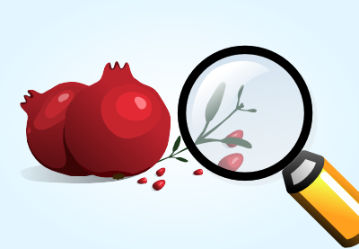 How to Optimize Inkscape With Zoom and View