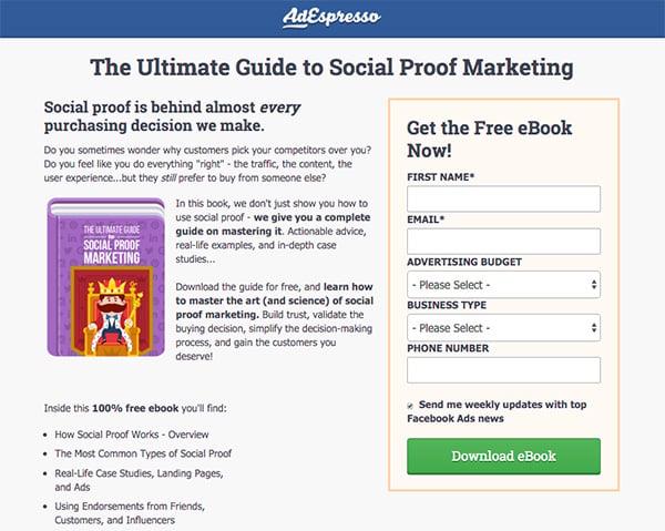 Squeeze Page Example
