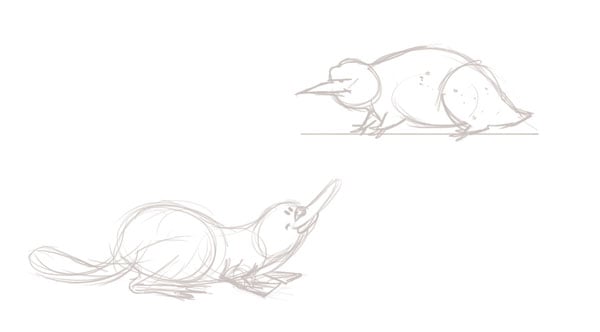 Platypus and steropodon galmani