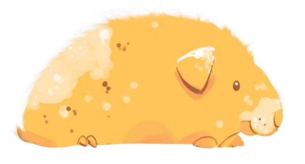 Guinea Pig Fluffy Edge