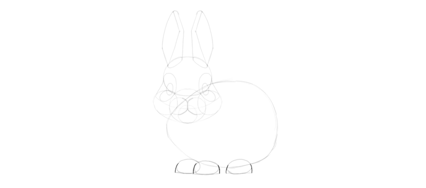 How to Draw a Cute Bunny Step by Step