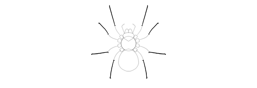 Cómo Dibujar una Araña Paso a Paso | Envato Tuts+