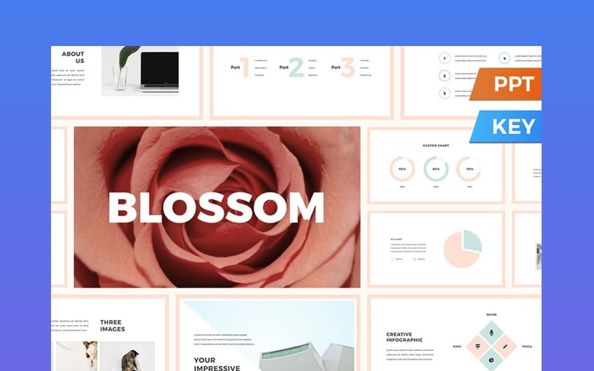 19 Best Premade PowerPoint PPT Templates (Ready Slide Designs) 2025 ...