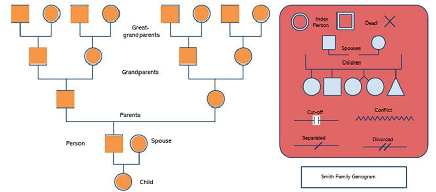 Best Free Family Tree Microsoft Word Templates To Download Envato Tuts 