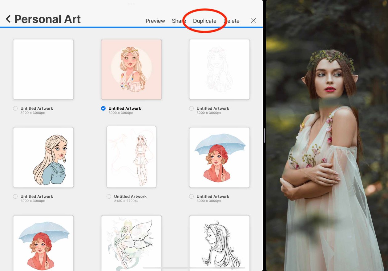 duplicate is circled in red