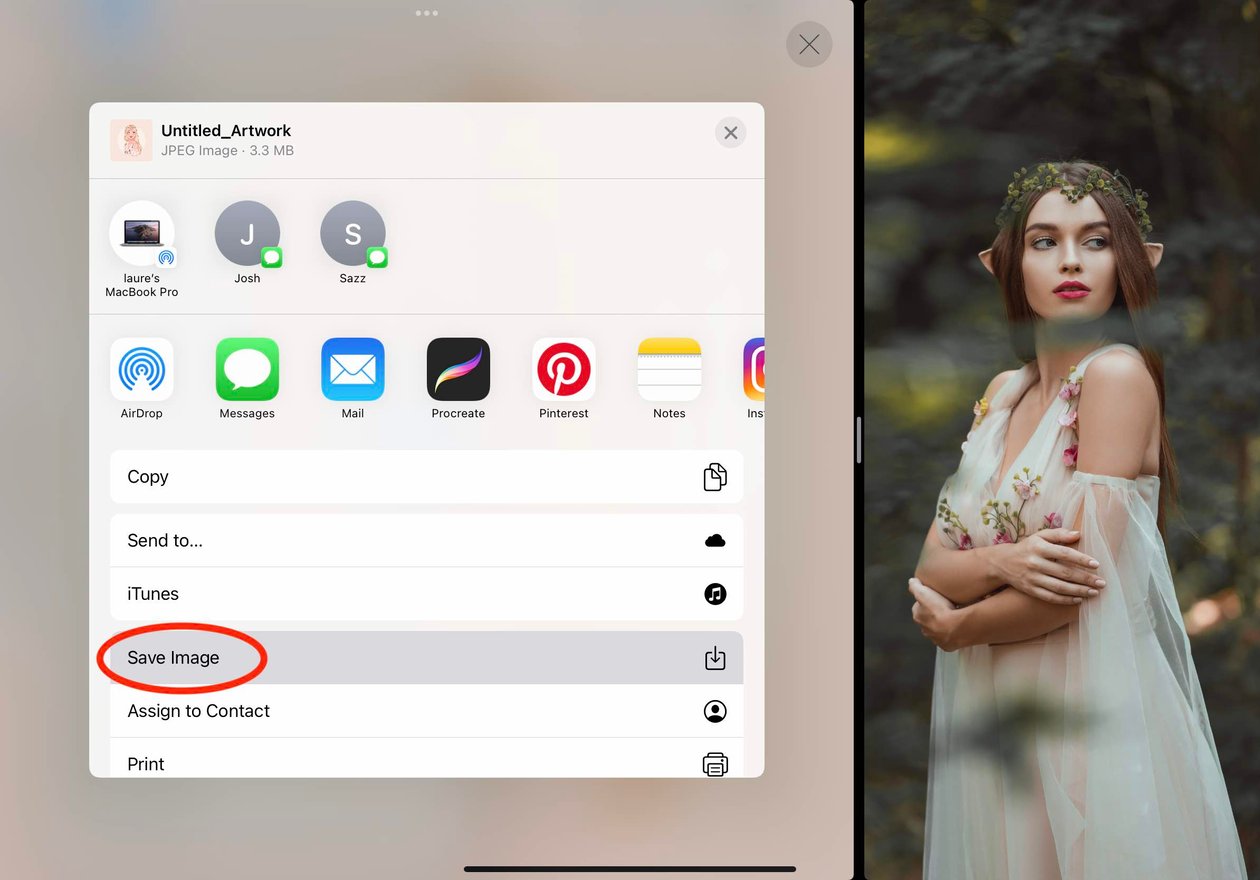save image is circled in red