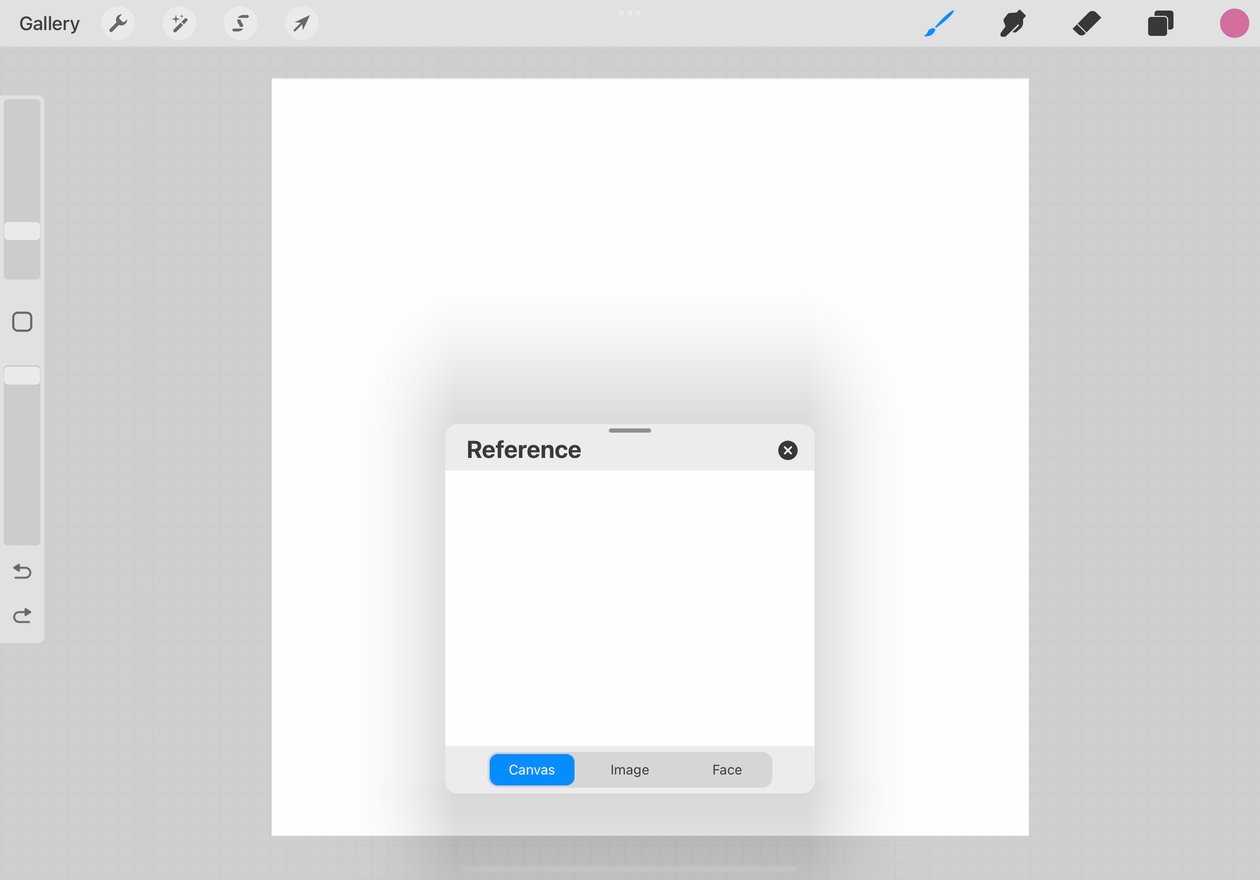 the reference box is shown in front of the canvas