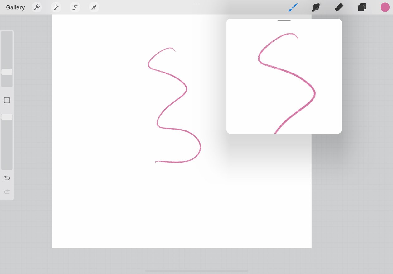 a pink line is shown both on the canvas and within the reference box