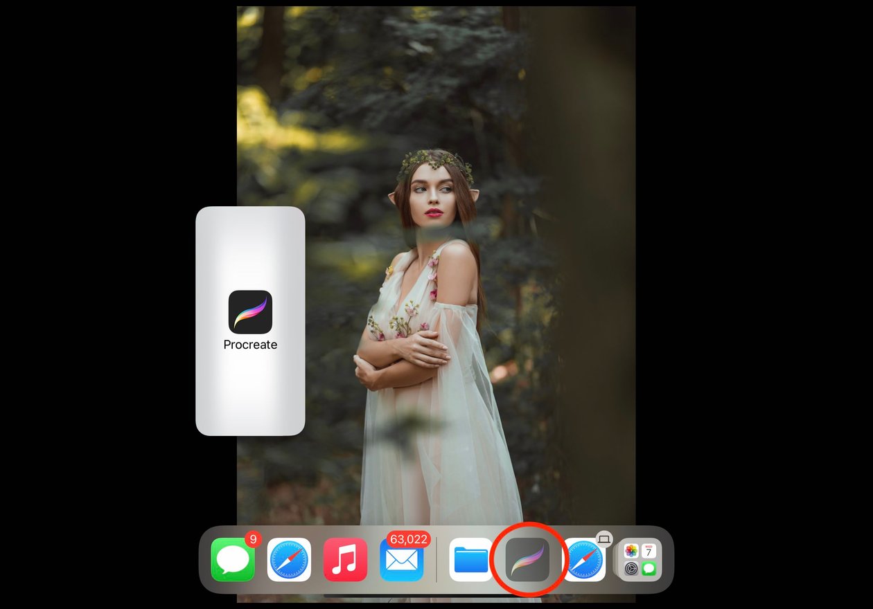 the procreate icon is circled in red, and has been dragged towards the left of the screen