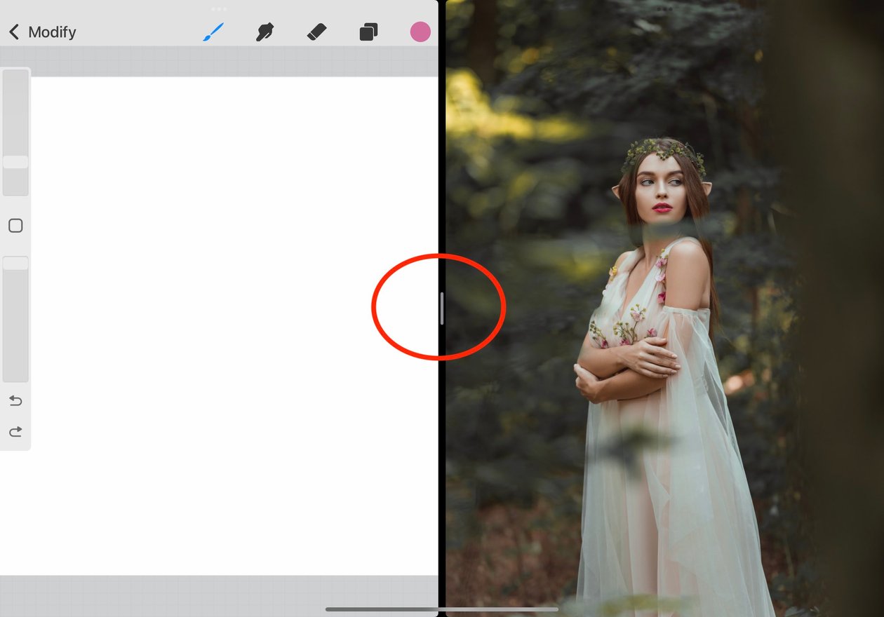 Procreate and the photograph cover half the screen each, the slider in the centre of the screen has been circled in red