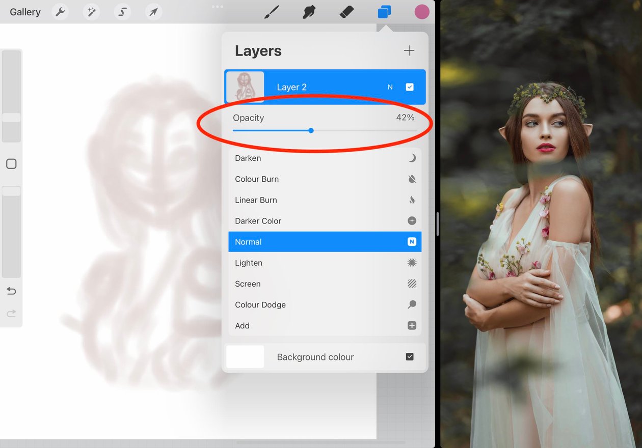 the opacity slider is circled in red