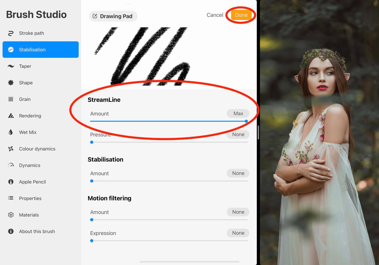 the streamline setting and the done button are circled in red
