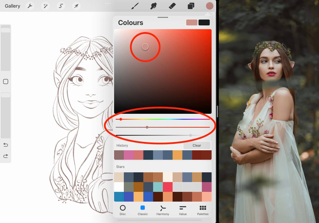 the sliders and colour swatch are circled in red
