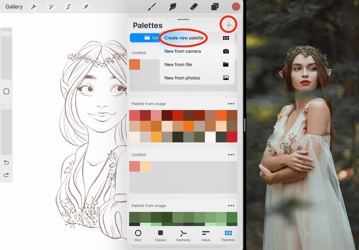 the + icon and create new palette are circled in red