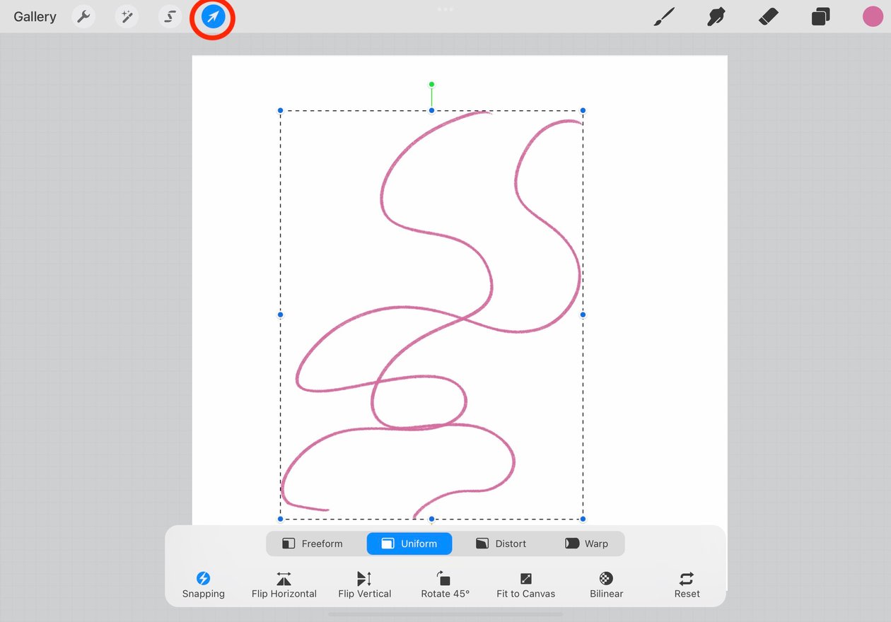 the arrow icon is circled in red, the two pink lines have a bounding box around them to show they are selected