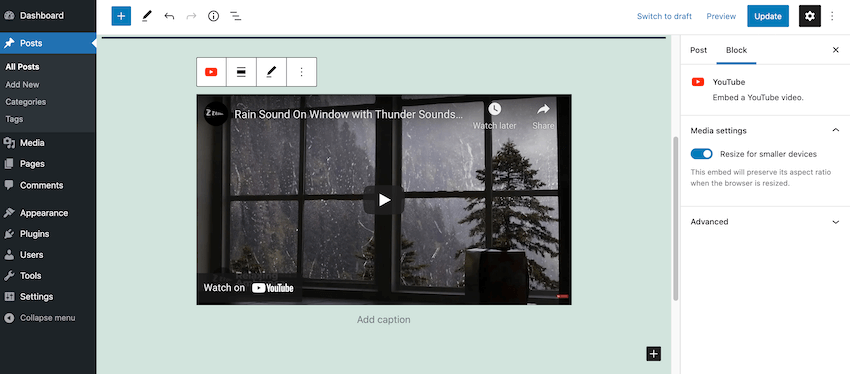 A YouTube video, embedded via an iframe component. 
