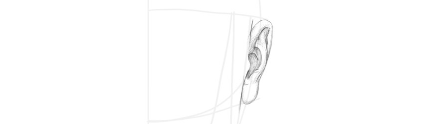 How to Draw Ears