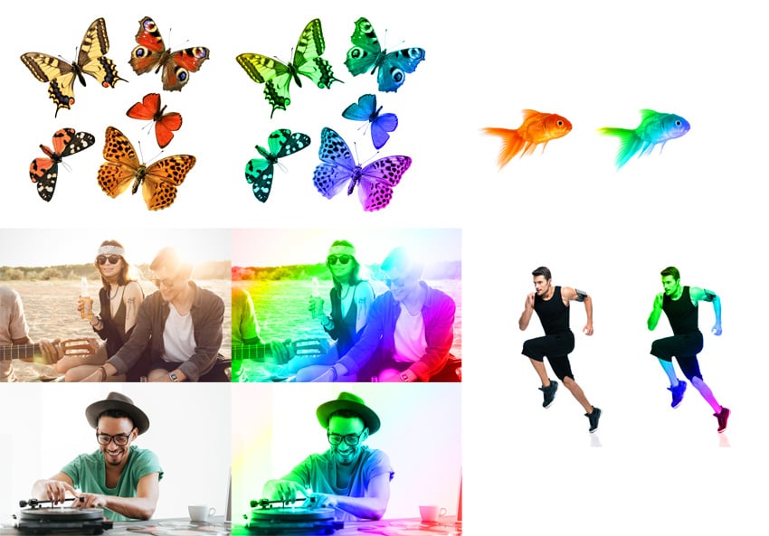 rainbow action examples