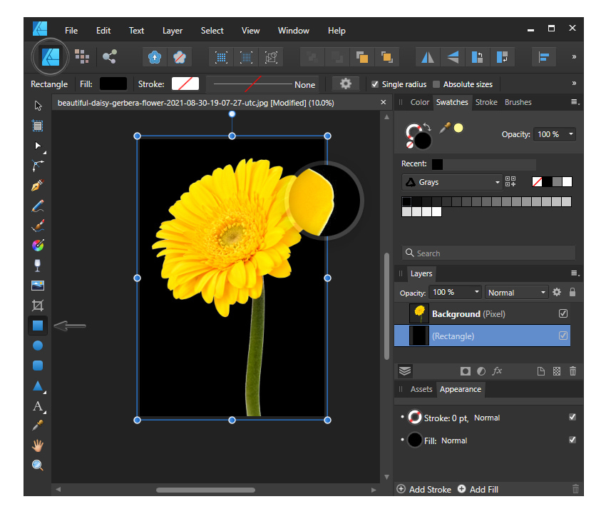 Como remover um plano de fundo no Affinity DesignerReviltec | Reviltec
