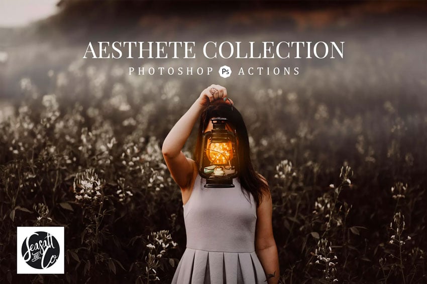 Aesthet Collection