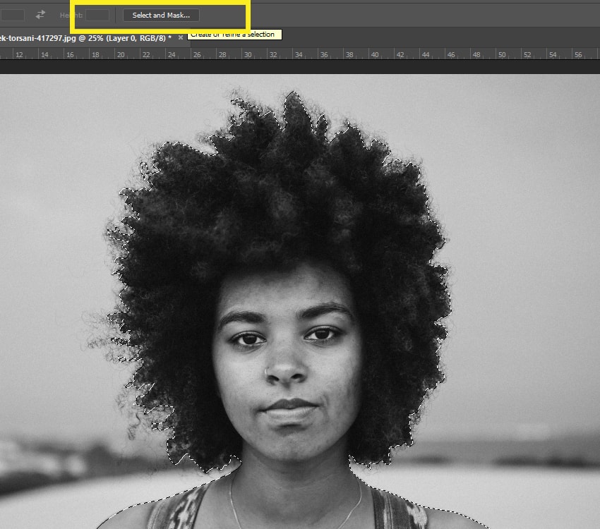 Selecting and masking the model