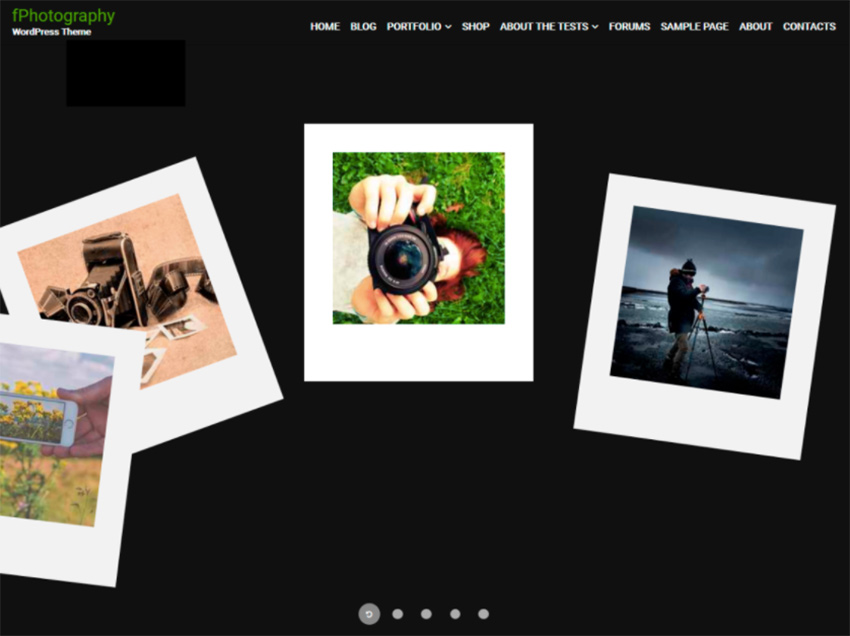15 Best WordPress Photography Themes for Free (2025) Envato Tuts+