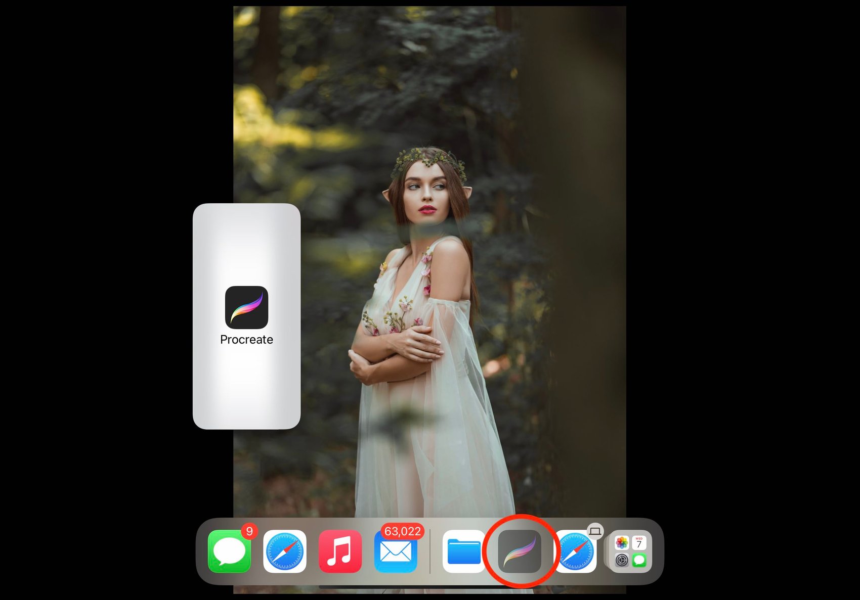 the procreate icon is circled in red, and has been dragged towards the left of the screen