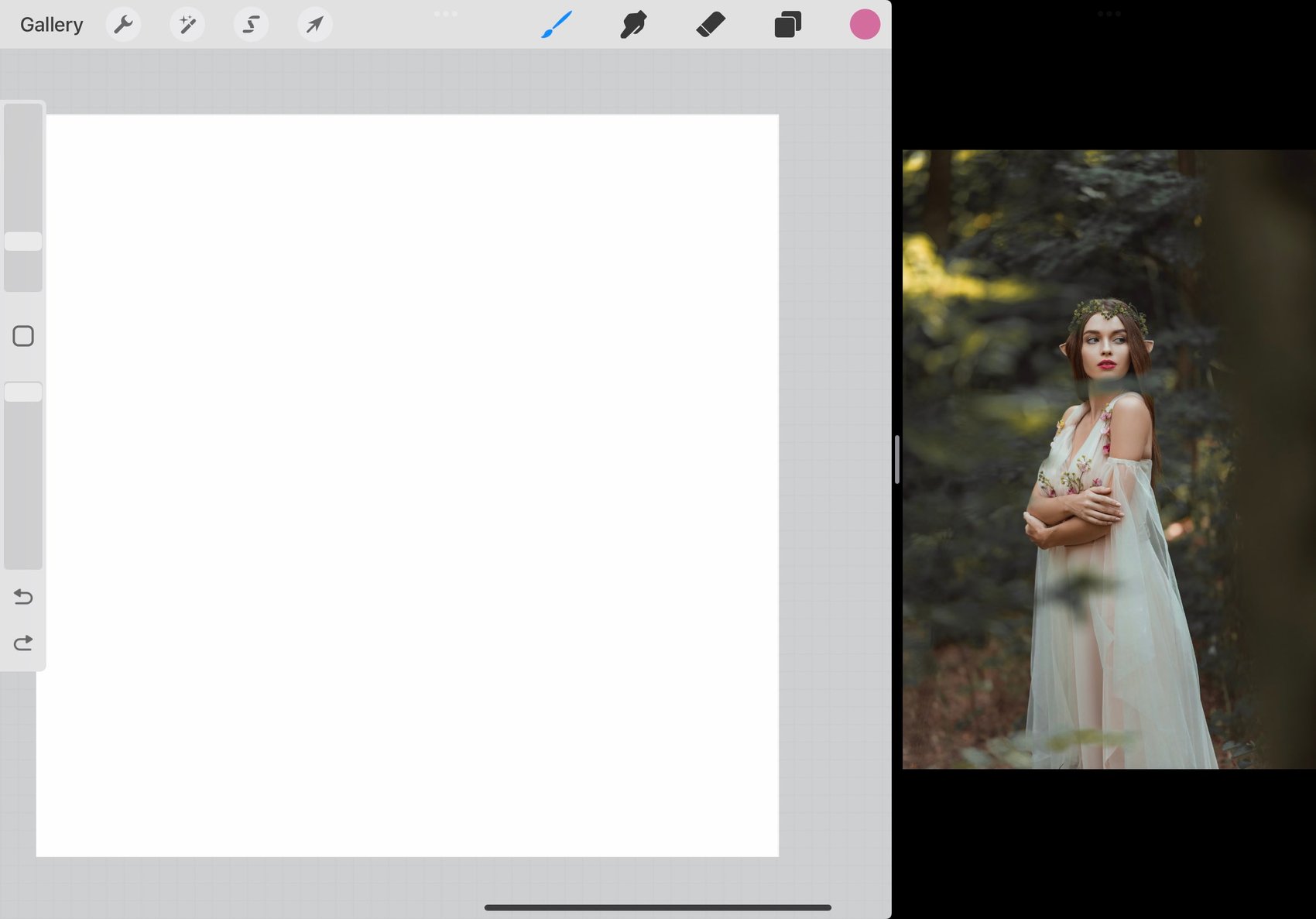 Procreate fills 3/4 of the screen, and the photograph fills the final 1/4