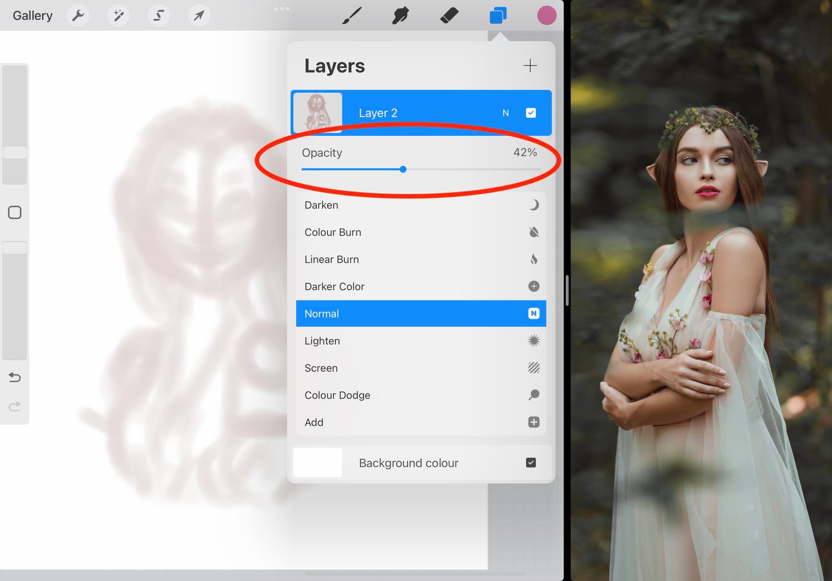 the opacity slider is circled in red