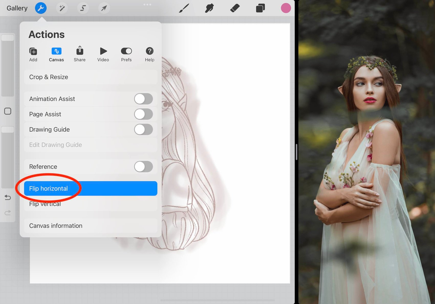 flip horizontal is circled in red