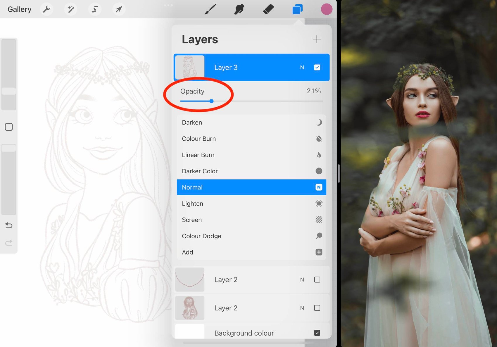 the opacity slider is circled in red