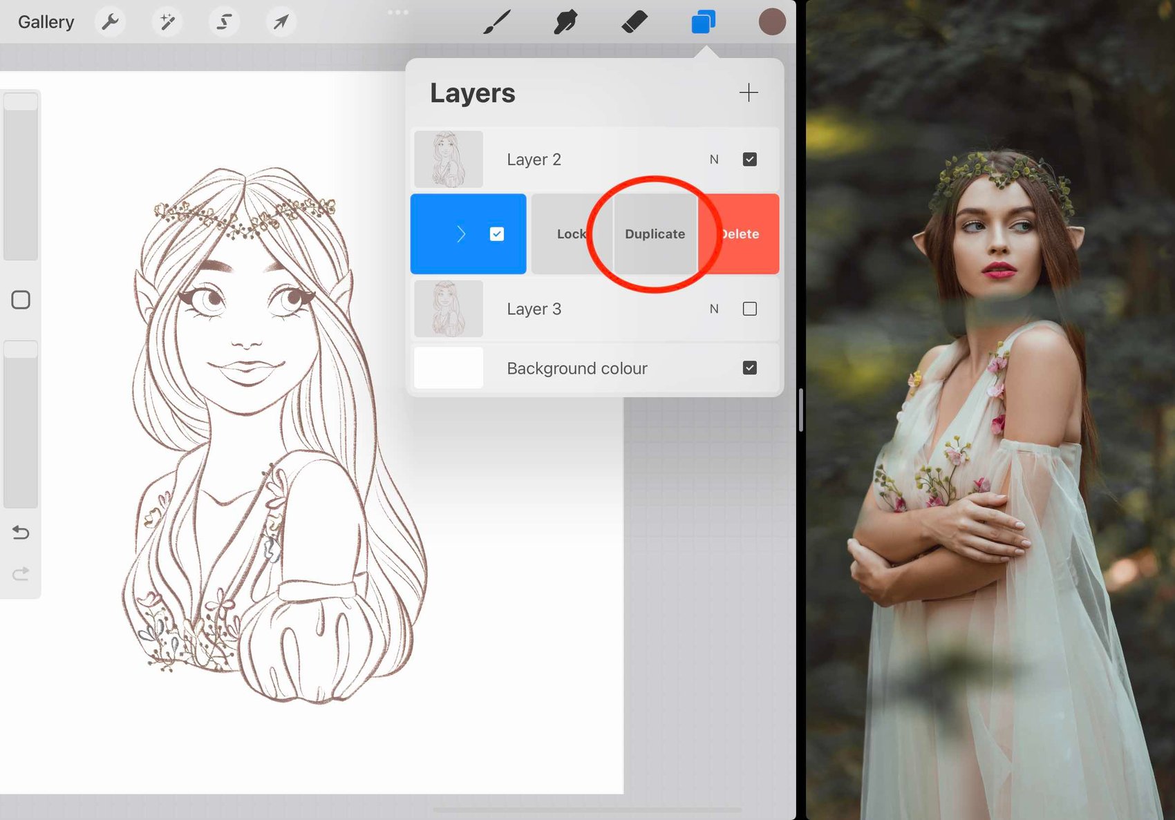 duplicate is circled in red