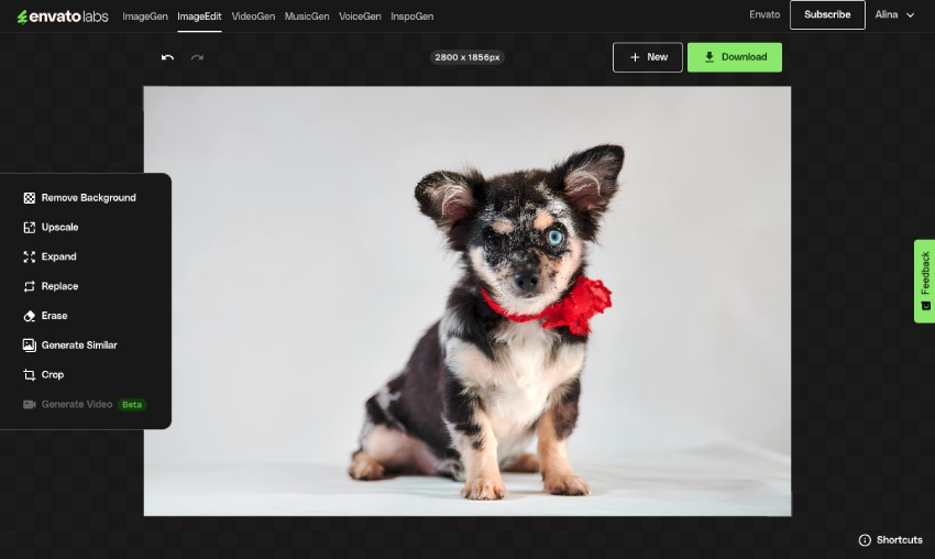 How to edit images with AI ImageEdit | Envato Tuts+