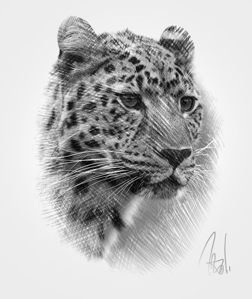 Final product image