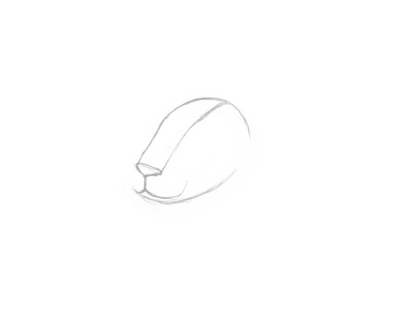 How to Draw a Rabbit Step by Step | Envato Tuts+