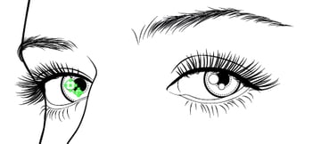 Create the Eyes and Eyebrows