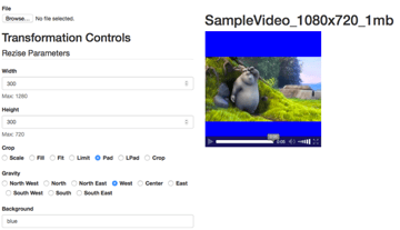 "Video Transformation"