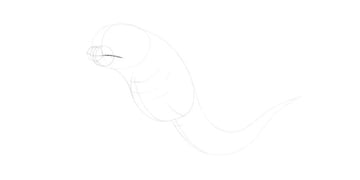 make the smile bigger