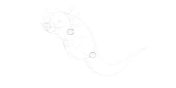 draw the base of the legs