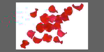 remove white background