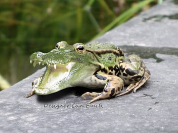 Emir Can took a fun photo blend tutorial for a spin and shared his result in the lively comment section from a tutorial by Jason Stanley