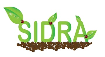 User sdira shared their own personalized version of an environmentally-focused type treatment thanks to a tutorial by Ryan Putnam