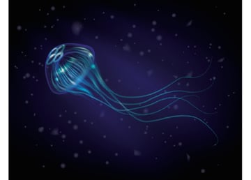 User Sarah shared her result from a jellyfish brush tutorial by Sharon Milne