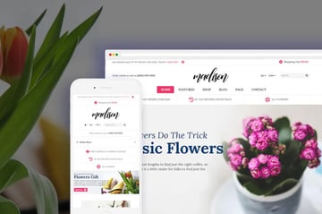 madison shopify theme