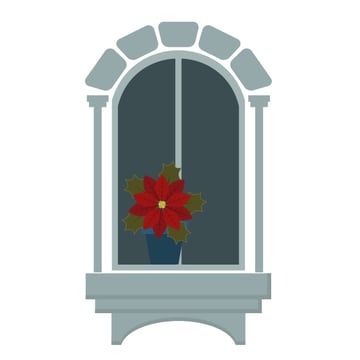 placing poinsettia on the windowsill