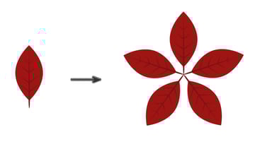 combining together poinsettia leaves