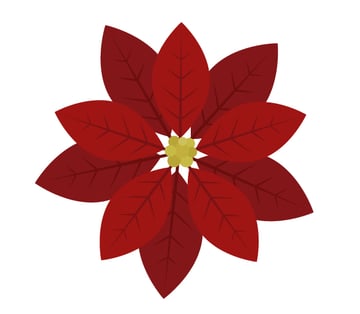 creating middle part of the poinsettia