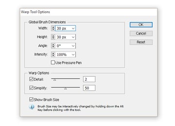 setting the warp options