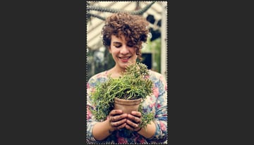 Selecting the canvas of the document